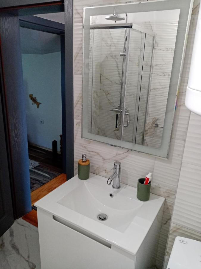 Apartment Viktor Belgrado Esterno foto