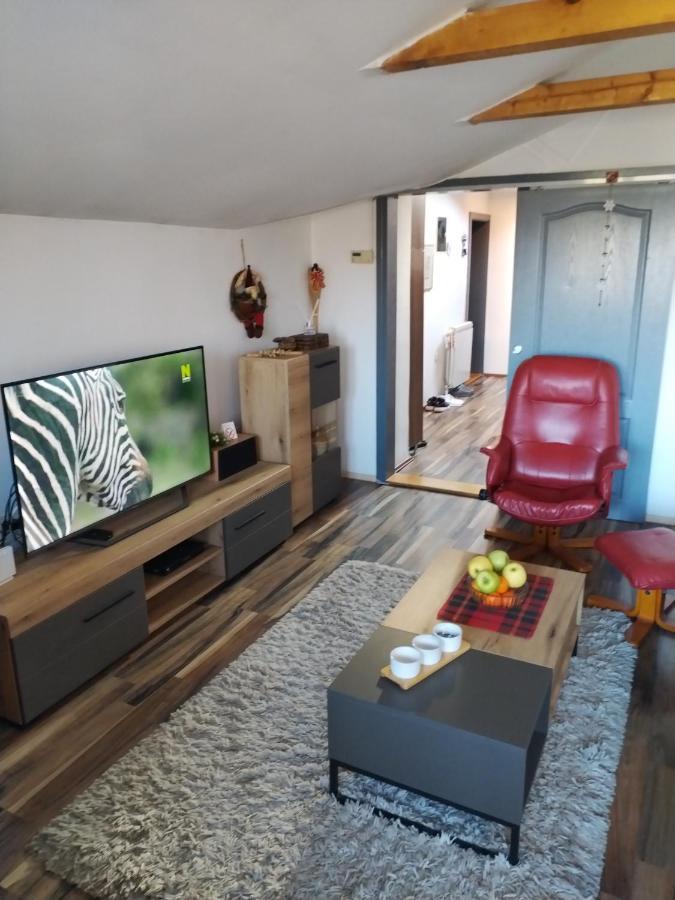 Apartment Viktor Belgrado Esterno foto