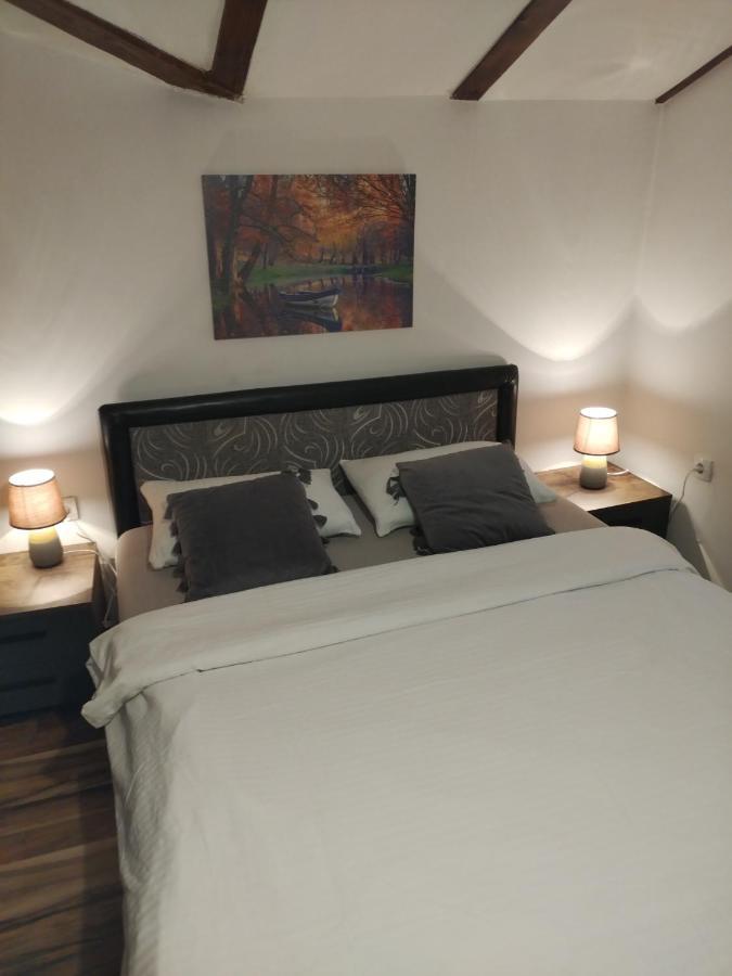 Apartment Viktor Belgrado Esterno foto