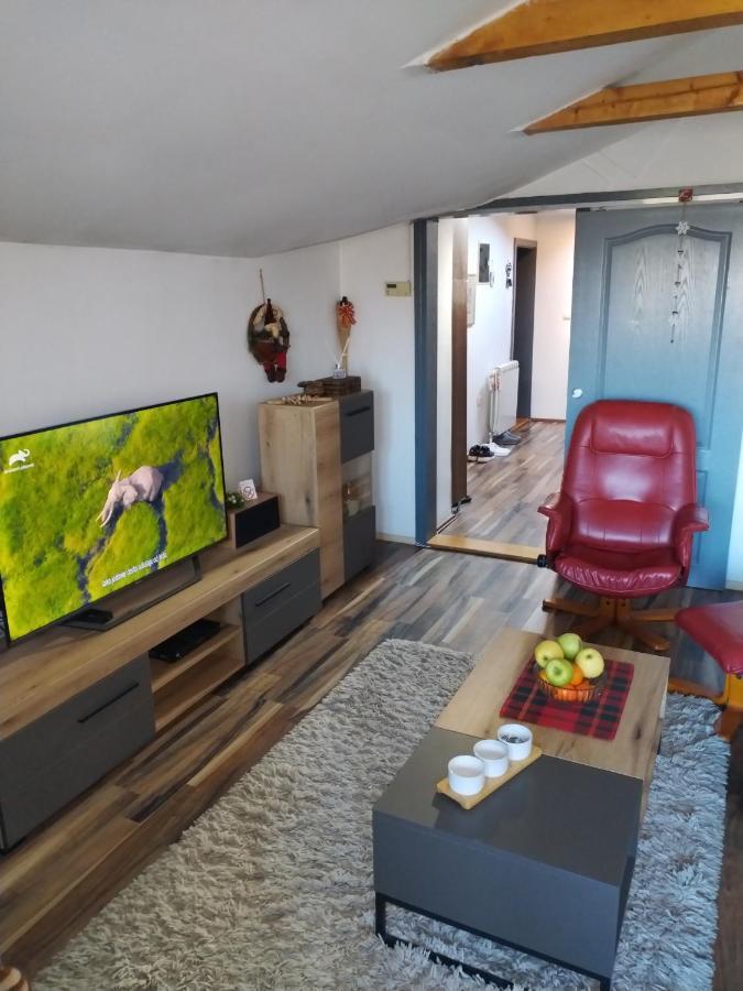 Apartment Viktor Belgrado Esterno foto