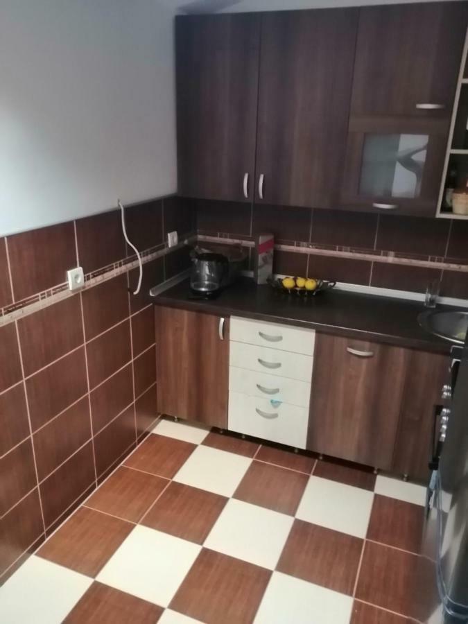 Apartment Viktor Belgrado Esterno foto